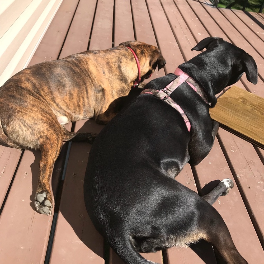 Meet your Posher, Kaeli